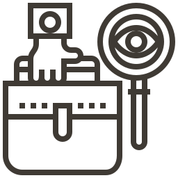 Special Investigation Audit